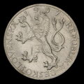 Averz mince, variant - lev má nedorazený penis