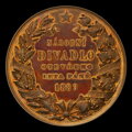 Národné divadlo v Prahe 1883 - AE medaila v etui