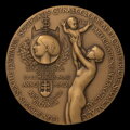 Univ. Prof. MUDr. Aurel Hudcovič, head of the 2nd Gynecological and Obstetrics Clinic of the Faculty of Medicine of the University of Bratislava, University Hospital in Bratislava, 2009- AE medal - M. Polonský 