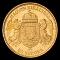 František Jozef I. - 20 Koruna 1895 KB