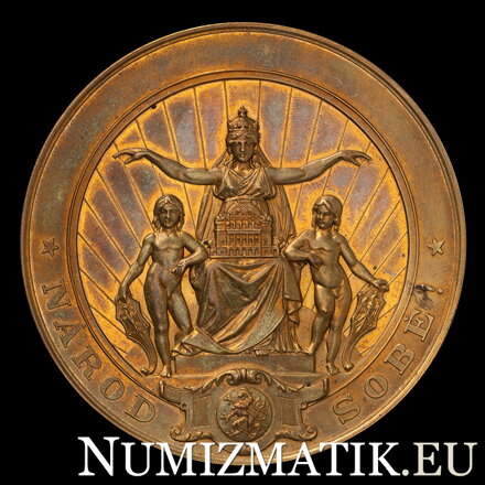 Národné divadlo v Prahe 1883 - AE medaila v etui