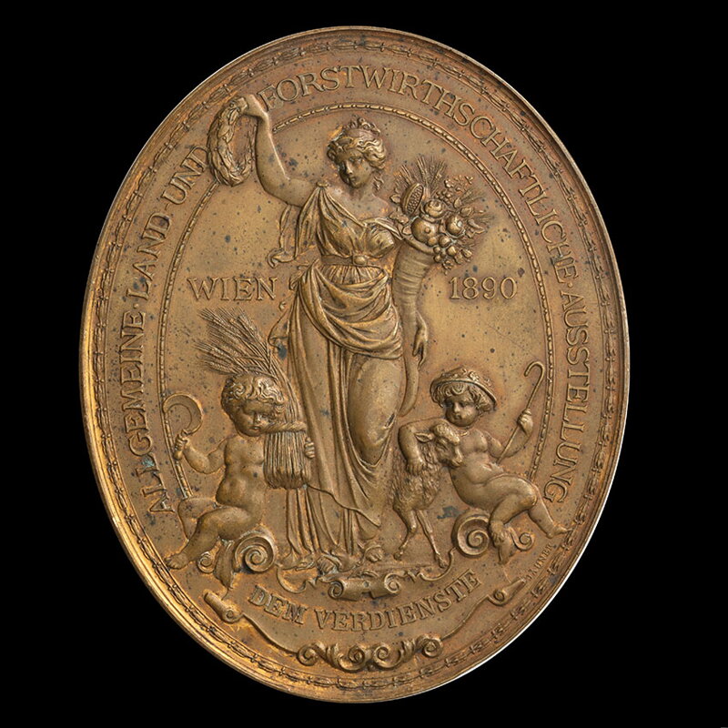 Všeobecná poľnohospodárska a lesnícka výstava vo Viedni pod patronátom Fr. Jozefa I., za zásluhy - AE medaila 1890